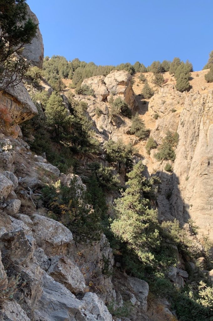 ارس لَمبران؛ میراثی در خطر پس از پایان قرق ده‌ساله