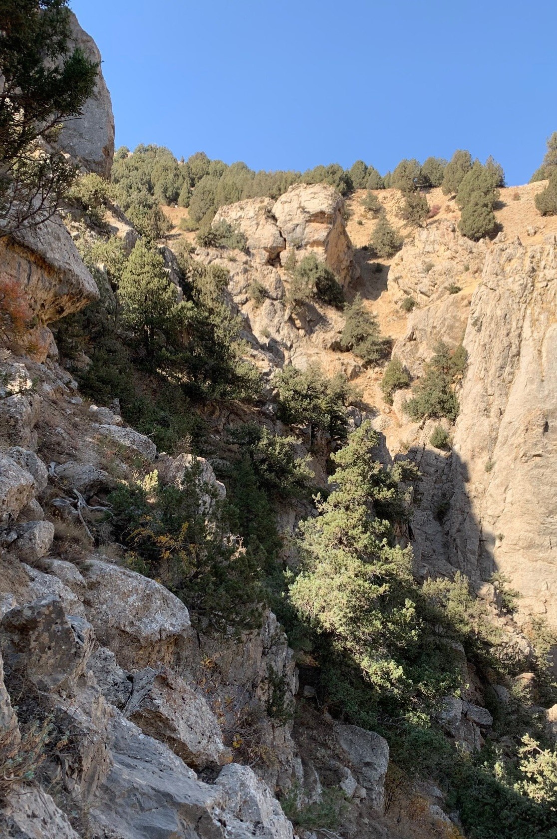 ارس لَمبران؛ میراثی در خطر پس از پایان قرق ده‌ساله