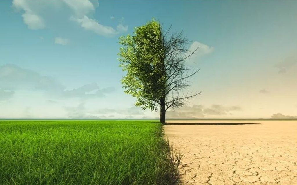 البرز در گذر تغییرات اقلیمی؛ از کاهش منابع تا امنیت غذایی