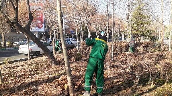 انجام روزانه عملیات برگ‌روبی در منطقه ۴ کرج