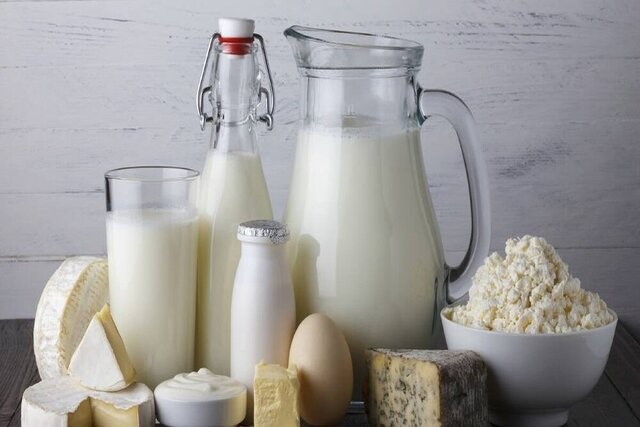 خـطر تب مالت با لبنیات محلی