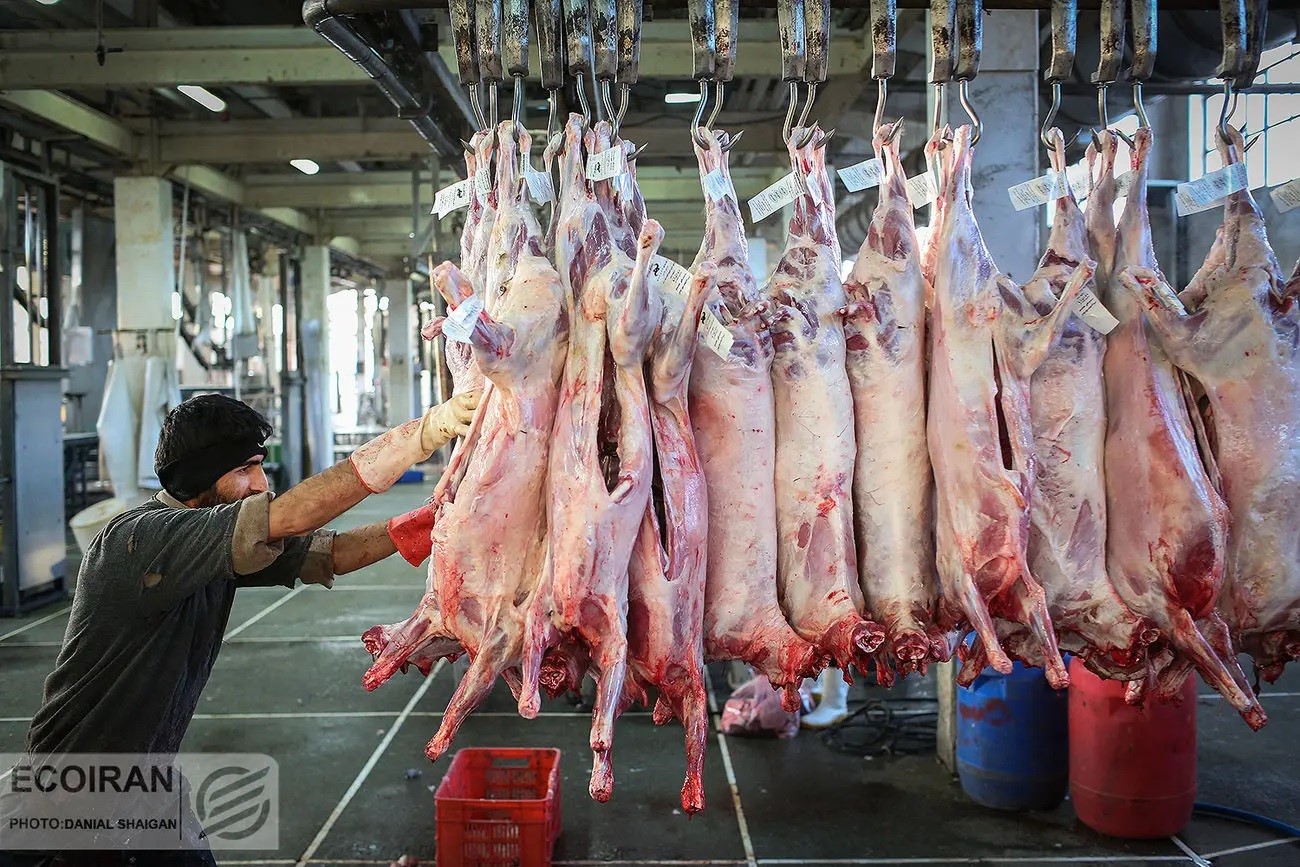 بازار گوشت قرمز؛ کاهش قیمت با اقدامات کوتاه‌مدت