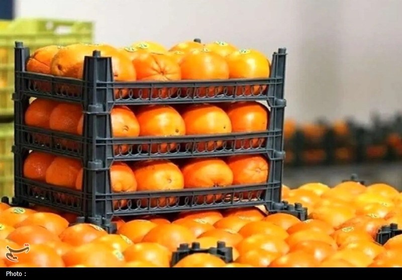 ذخیره کافی میوه شب عید در نظرآباد