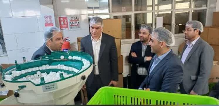 زنگ خطر ناترازی انرژی برای صنایع کوچک البرز