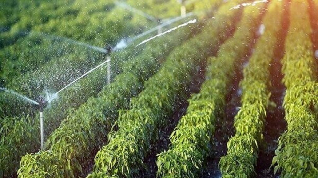 ۴۰ درصد اراضی آبی کشور به سیستم‌های نوین آبیاری مجهز شده است